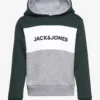 Jack & Jones JJELOGO BLOCKING SWEAT HOOD NOOS JNR - PINE GROVE -Jack & Jones Myynti jjj12173901 cpinegrove v176272
