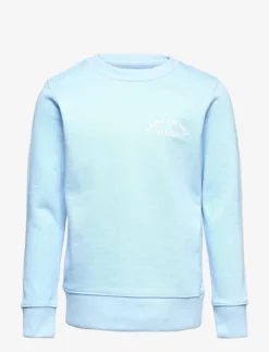 Jack & Jones JORPOSITANO EMB SWEAT CREW NECK JNR - CASHMERE BLUE