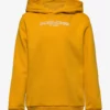 Jack & Jones JWHBANK SWEAT HOOD JNR - GOLDEN ORANGE -Jack & Jones Myynti jjj12218596 cgoldenorange v213690