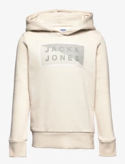 Jack & Jones JWHSHAWN SWEAT HOOD JNR - MOONBEAM