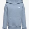 Jack & Jones JCOCLASSICS SWEAT HOOD JNR - MOUNTAIN SPRING