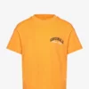 Jack & Jones JORBRINK STUDIO TEE SS CREW NECK JNR - ICELAND POPPY -Jack & Jones Myynti jjj12230749 cicelandpoppy v290560loose