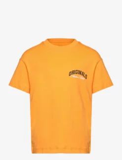 Jack & Jones JORBRINK STUDIO TEE SS CREW NECK JNR - ICELAND POPPY