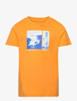 Jack & Jones JORBOOSTER TEE SS CREW NECK MAR23 JNR - ICELAND POPPY