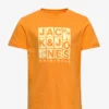 Jack & Jones JORCHANCE TEE SS CREW NECK FST JNR - ICELAND POPPY -Jack & Jones Myynti jjj12239435 cicelandpoppy v290560